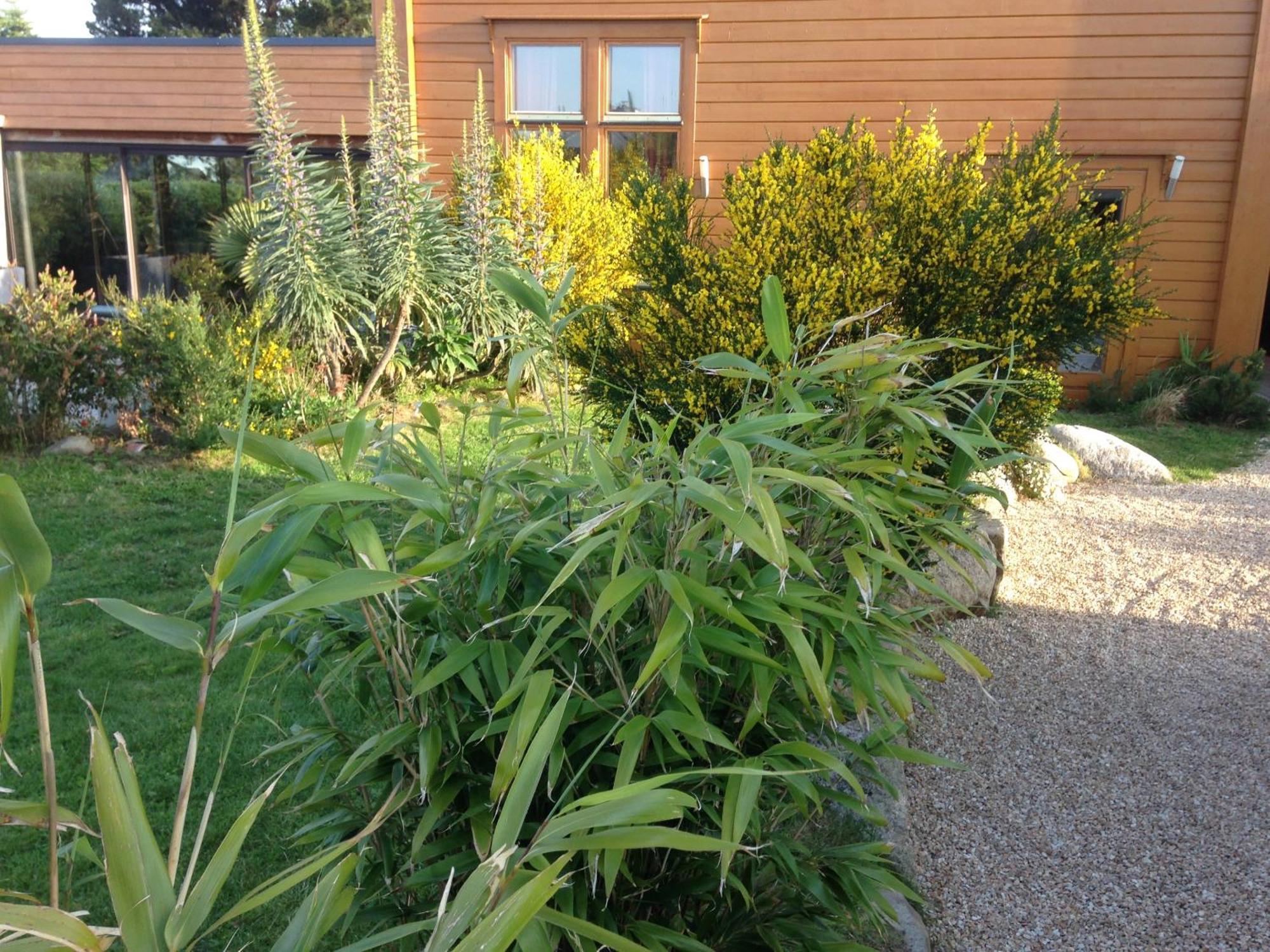 Les Villas D' Onalou Port Blanc Penvénan Exterior foto